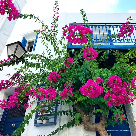 The Balcony Of Bougainvillea