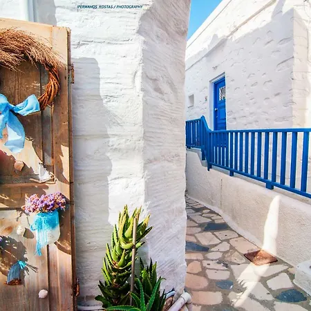 The Balcony Of Bougainvillea! *